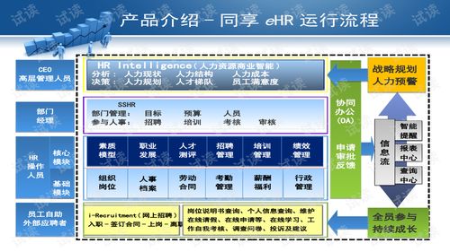 數(shù)字化時代的人力資源管理新范式 軟件與服務(wù)雙輪驅(qū)動