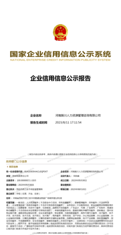河南振川人力資源管理咨詢 專業(yè)賦能，助力企業(yè)人才戰(zhàn)略升級
