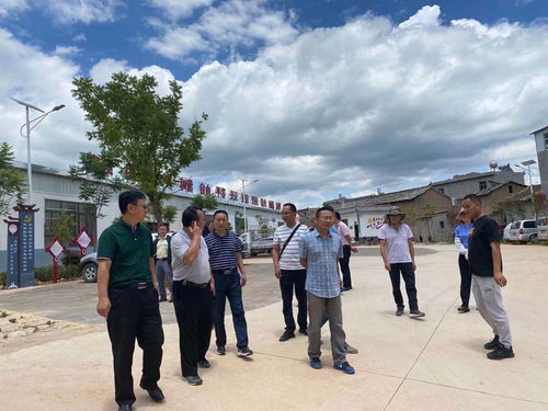 云南江川 農(nóng)村能源安全宣傳與人力資源咨詢服務(wù)雙管齊下